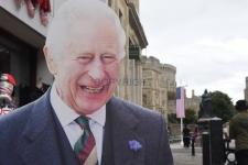 WINDSOR 136980