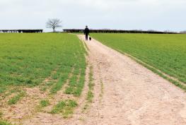 Viewpoint: 'Green and pleasant land' facing calamity Viewpoint: 'Green and pleasant land' facing calamity