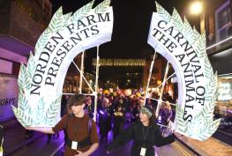 In pictures: Crowds gather as colourful Lantern Parade returns in Maidenhead In pictures: Crowds gather as colourful Lantern Parade returns in Maidenhead