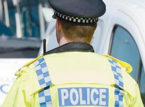 Witness appeal over dangerous dog attack at Dinton Pastures Country Park
