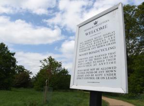 Marvel Studios production company gets approval to film at Windsor Great Park