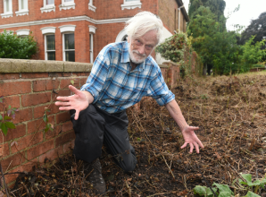 Upset as park greenery mistakenly 'mown into oblivion' by council contractor
