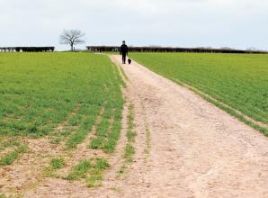 Viewpoint: 'Green and pleasant land' facing calamity