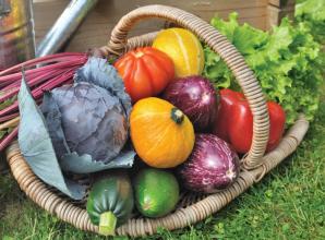 How to preserve the fruits of your labours