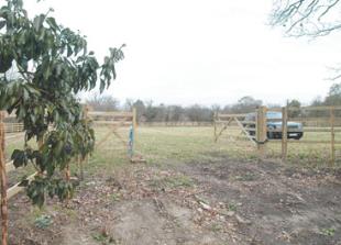 Gypsy site in Hurst considered at appeal