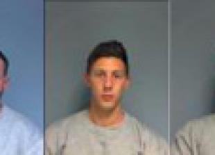 Three sentenced for letterbox burglary