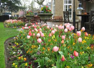 Odney Club Open Garden for the National Garden Scheme Nursing and Health Charities