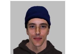Police looking for man in connection with sexual assault in Dorney