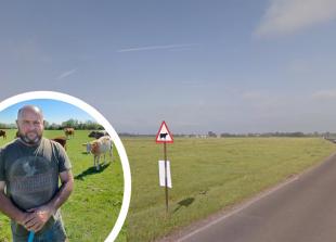 Farmers plead for action amid 'heartbreaking' cow deaths on Dorney Common