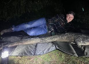 Anglers catch 6ft 4 ‘monster’ catfish, breaking the weighing scales