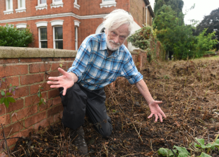 Upset as park greenery mistakenly 'mown into oblivion' by council contractor