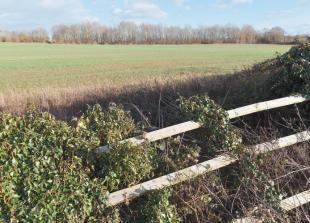 Public notices: Plans for Woodlands Park grow as ‘greybelt’ proposal reaches 300 homes