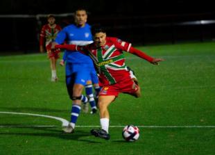 Windsor FC withdraw from league to focus on 'ambitious ground project'