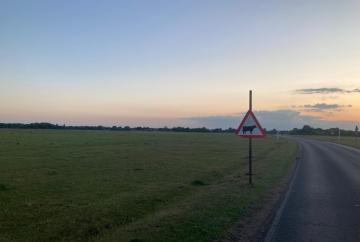 Dorney Common farmer recalls ‘dreaded call’ to help cow killed after car crash