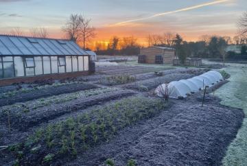 How to look after your allotment during the winter months