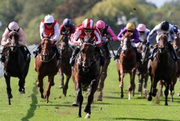 Hilitany hits top gear again at Windsor Races Hilitany hits top gear again at Windsor Races