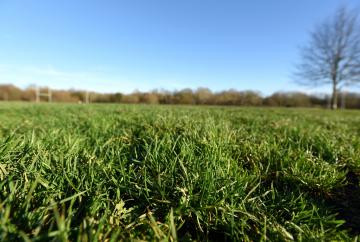 Braywick Park proposals 'no longer a Maidenhead United takeover', council leader says