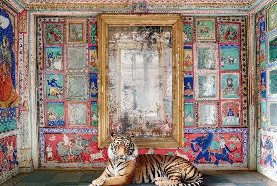 Photojournalism, sport, fine art: Star talent comes to Maidenhead Camera Club