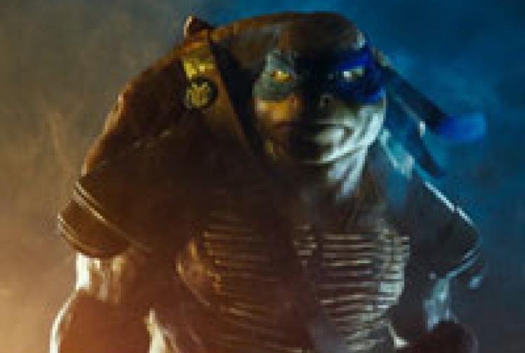 Teenage Mutant Ninja Turtles (tba)