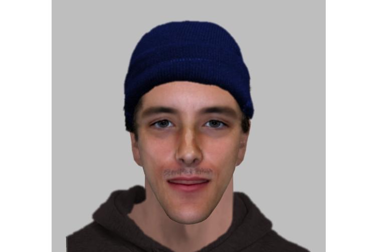 Police looking for man in connection with sexual assault in Dorney