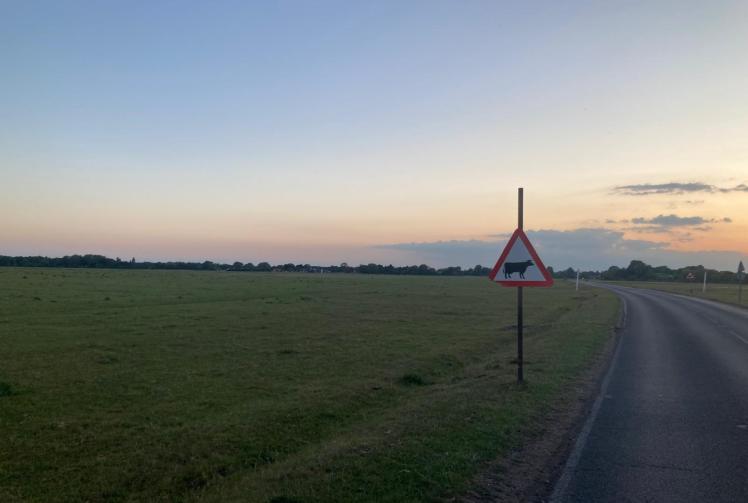 Dorney Common farmer recalls ‘dreaded call’ to help cow killed after car crash 