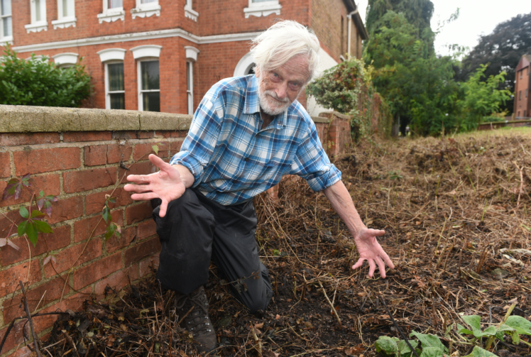 Upset as park greenery mistakenly 'mown into oblivion' by council contractor