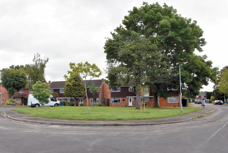 ‘Green roof’ on Maidenhead bungalow does not justify loss of green space, inspector says