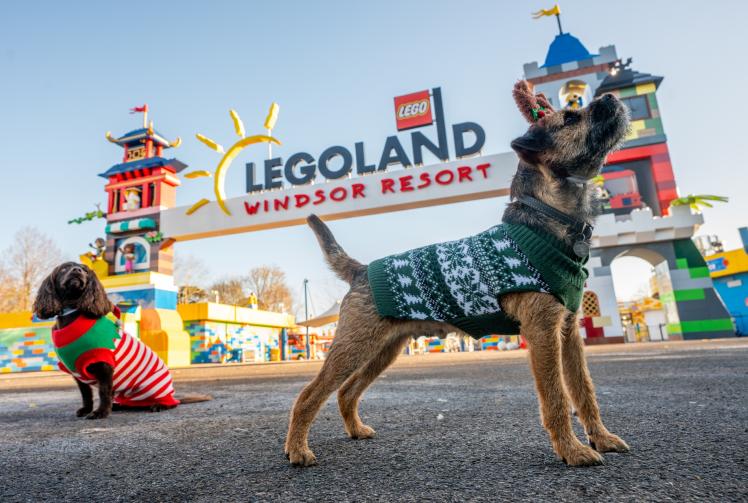 Em-bark on festive fun: Legoland unleashes first ever dog-friendly days