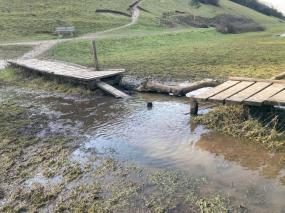 National Trust launches appeal to repair ‘well-loved route’ at Cock Marsh