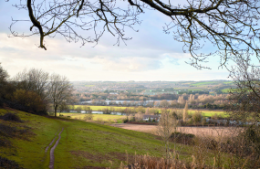 Renewed calls to resist greybelt ‘threat’ to Royal Borough countryside