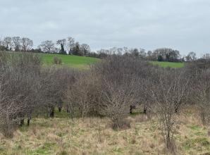Fear Bourne End, Flackwell Heath and Wooburn 'could merge' if land released for homes