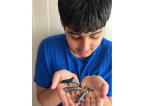 Windsor school pupil to take on sponsored walk raising funds to protect whales and dolphins