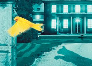 REVIEW: The Cat and Canary at Theatre Royal Windsor