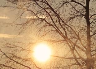 2025: Maidenhead records sunniest year since the 1950s