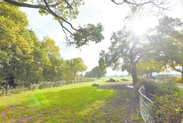 Panel to scrutinise new environment strategy amid 'climate emergency'