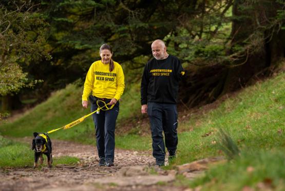Dog owner hosts first-ever walk for anxious dogs at Cliveden Estate