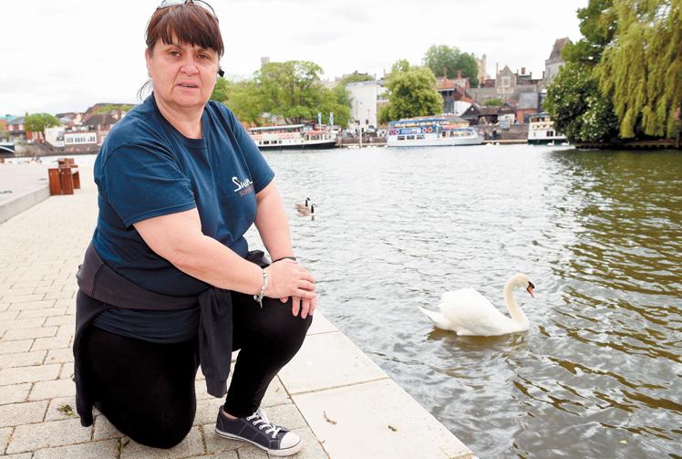 Suspected avian flu: 'Horrendous&rsquo; number of dead and sick swans found in RBWM