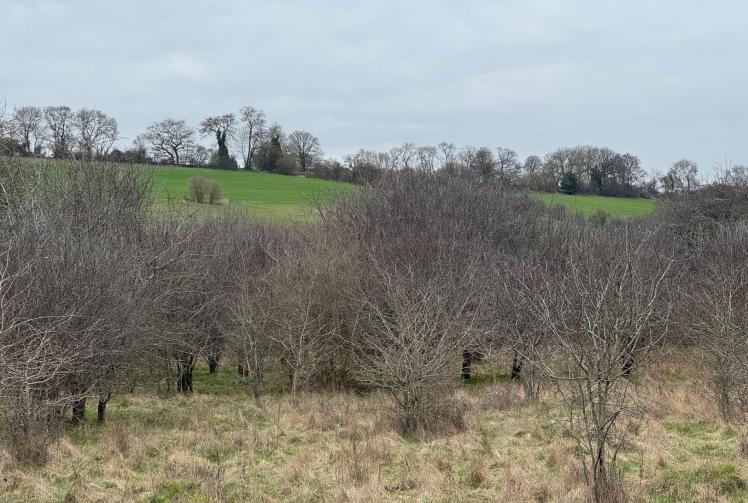 Fear Bourne End, Flackwell Heath and Wooburn 'could merge' if land released for homes